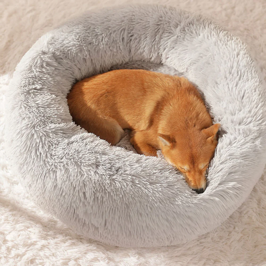 Hondenbed