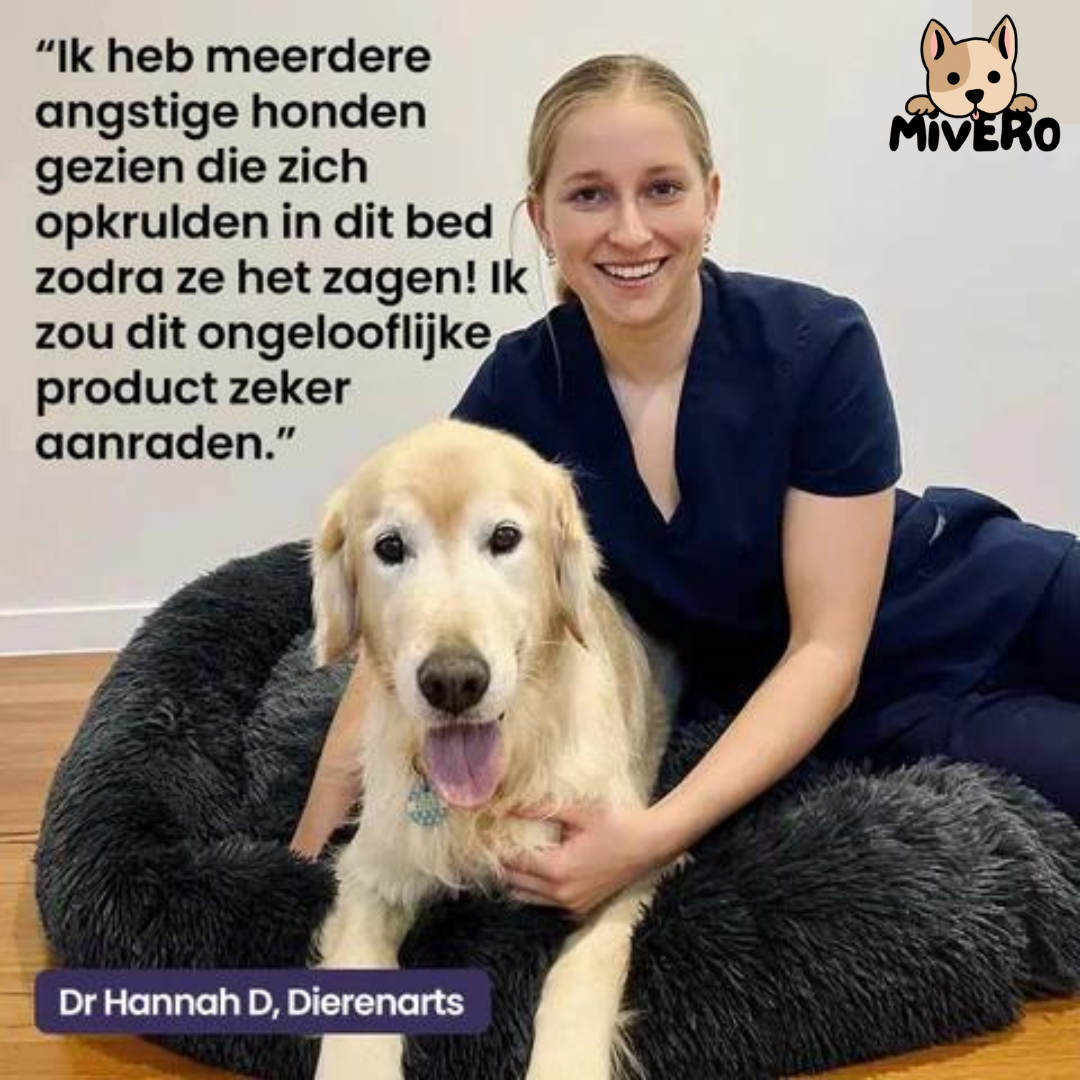 Hondenbed