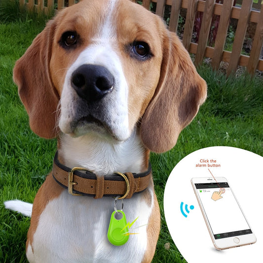Huisdier Tracker