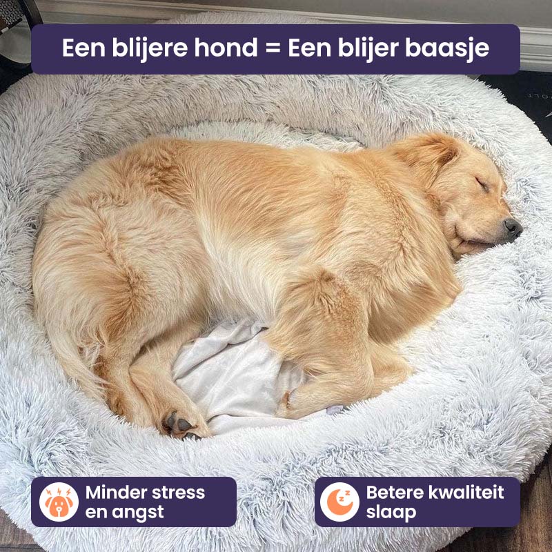 Hondenbed