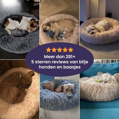 Hondenbed